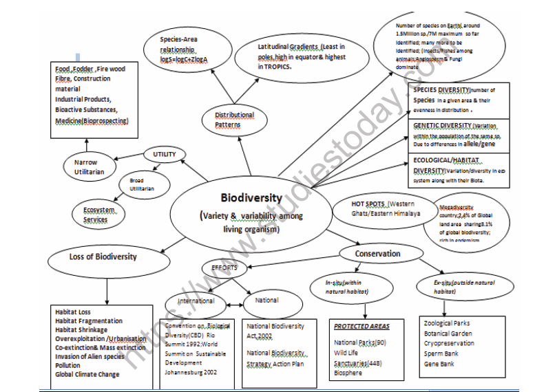 CBSE Class 12 Biology Biodiversity And Conservation Notes